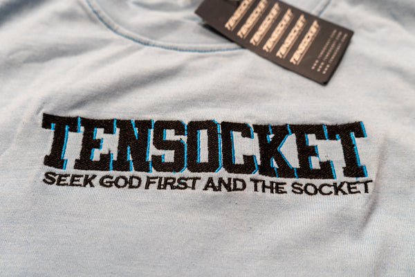 Evolution / Blue / Premium T-shirt