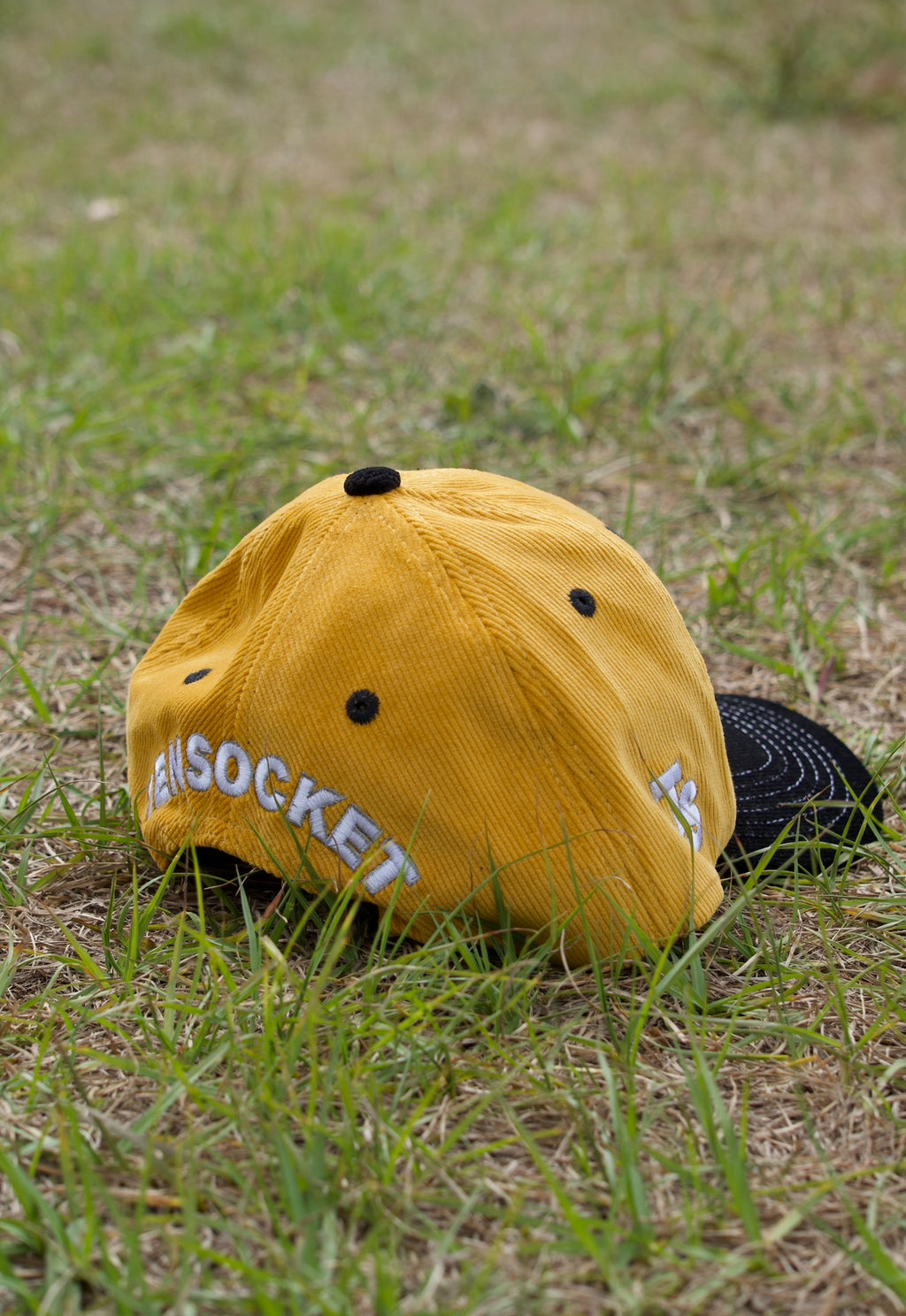 Japan Mustard / Hat / Premium